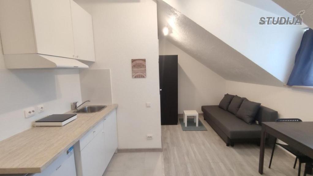 Miko Apartamentai Kaunas Buitenkant foto